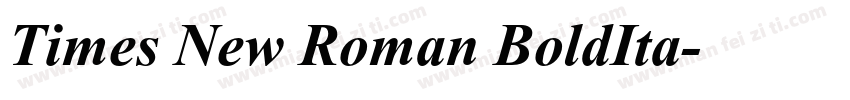 Times New Roman BoldIta字体转换